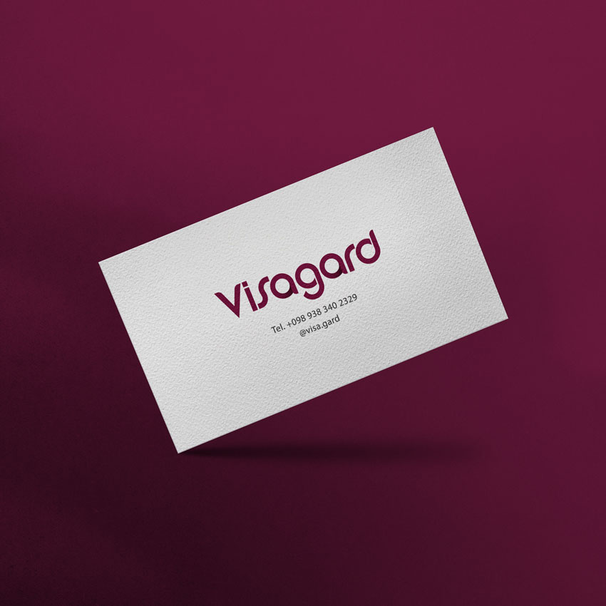 Logo Design for Visagard