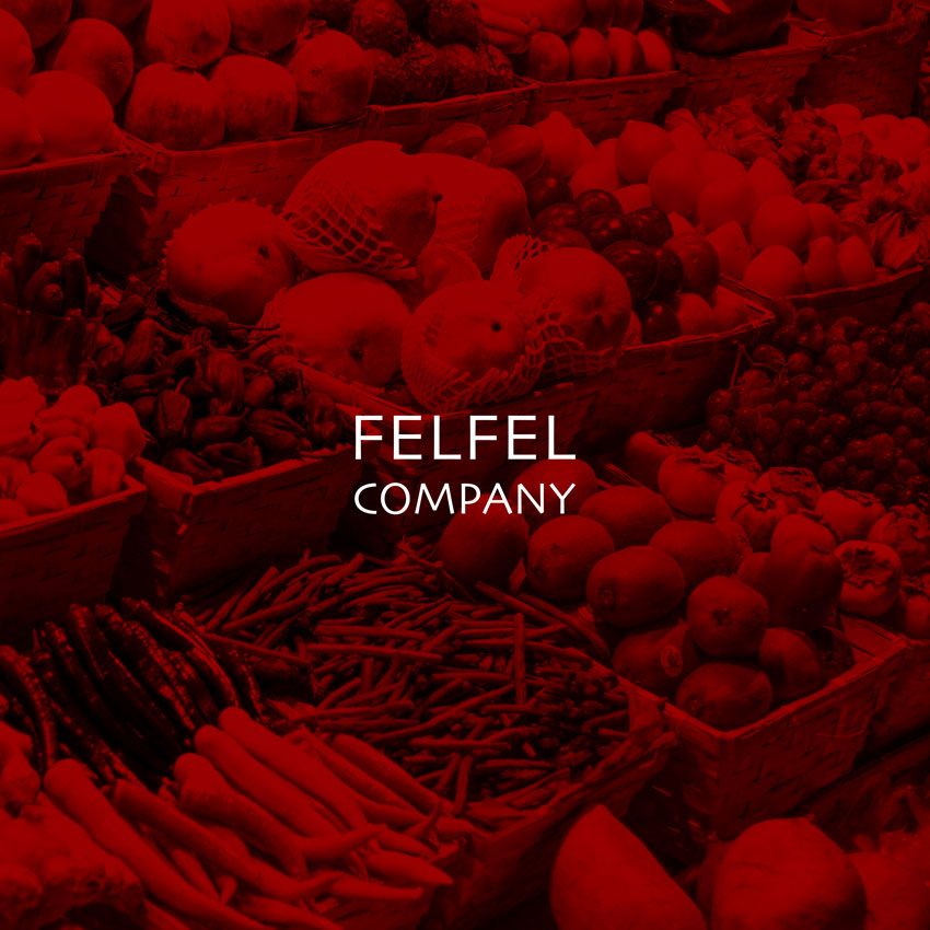 logo design for Felfel