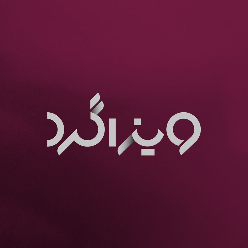 Logo Design for Visagard